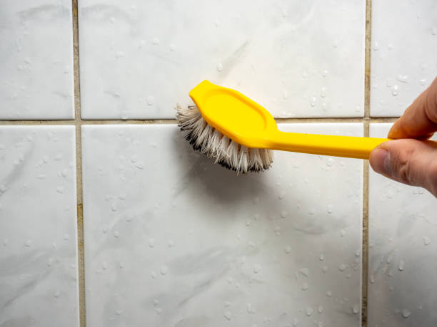 Best Mold Remediation  in Gardnerville, NV